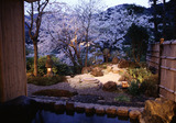 1F露天風呂A桜08